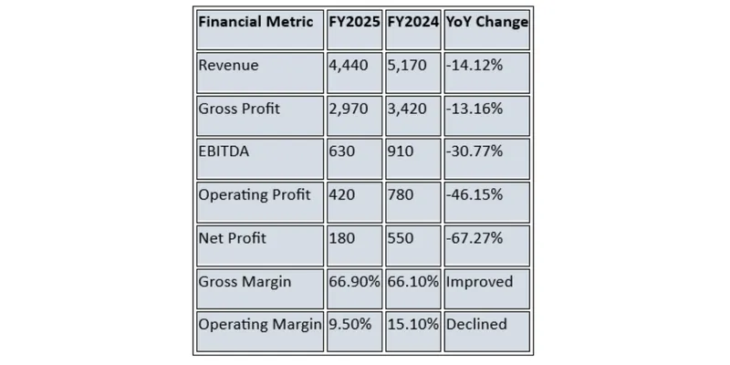 Financial Summary Table